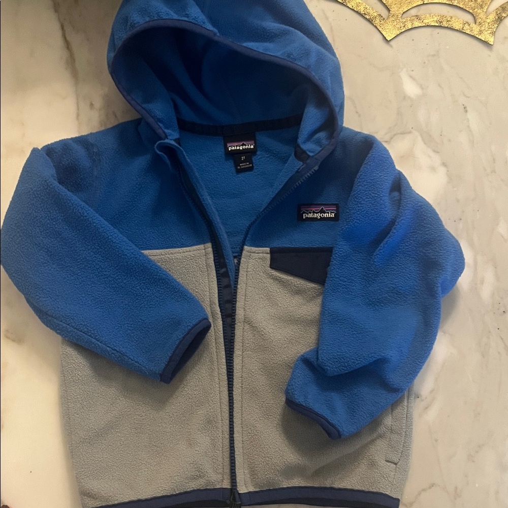 Patagonia Fleece Jacket (size 2T)